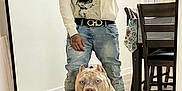 Ogk Zeus is registered to the contest to win money with this photo: casual_clothing, chair, dog, flooring, furniture, harness, home, hoodie, indoor, jeans, light, man, mirror, pet, portrait, reflection, selfie, smartphone, table, tattoo