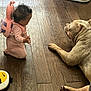 baby, child, cuddly, curly_hair, dog, domestic_animal, flooring, home, indoor, interaction, kneeling, large_dog, mammal, pet, pink_onesie, playtime, plush_backpack, relaxed, toy, wooden_floor
