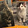 Pumpkin And Patch