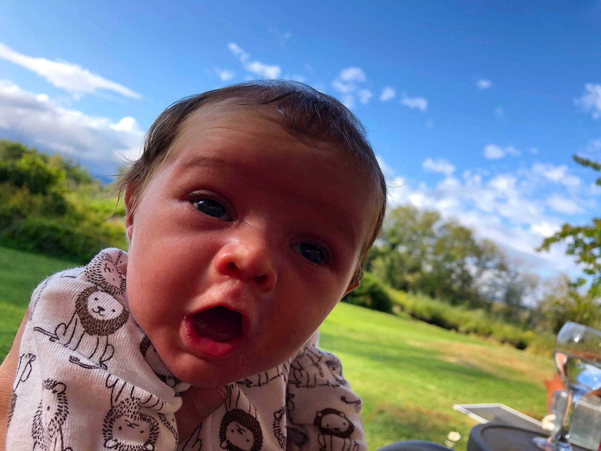 Alexzander is registered to the contest to win money with this photo: cheek, child, cloud, cool, eye, face, facial_expression, forehead, fun, grass, happy, head, lip, mouth, nose, person, sky, smile, summer, toddler