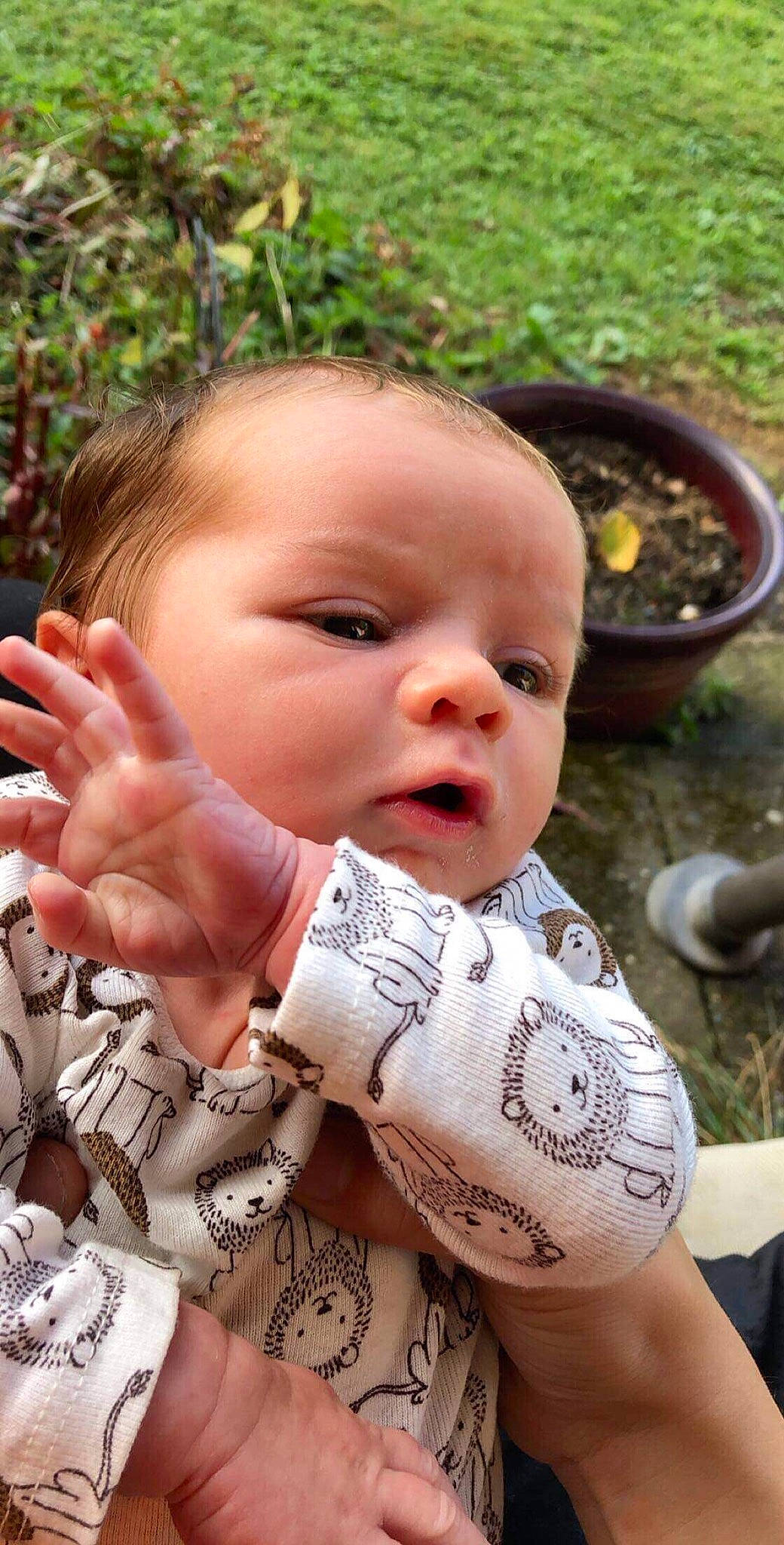 Alexzander joined the competition — help win amazing prizes! baby, cheek, child, face, finger, head, person, toddler