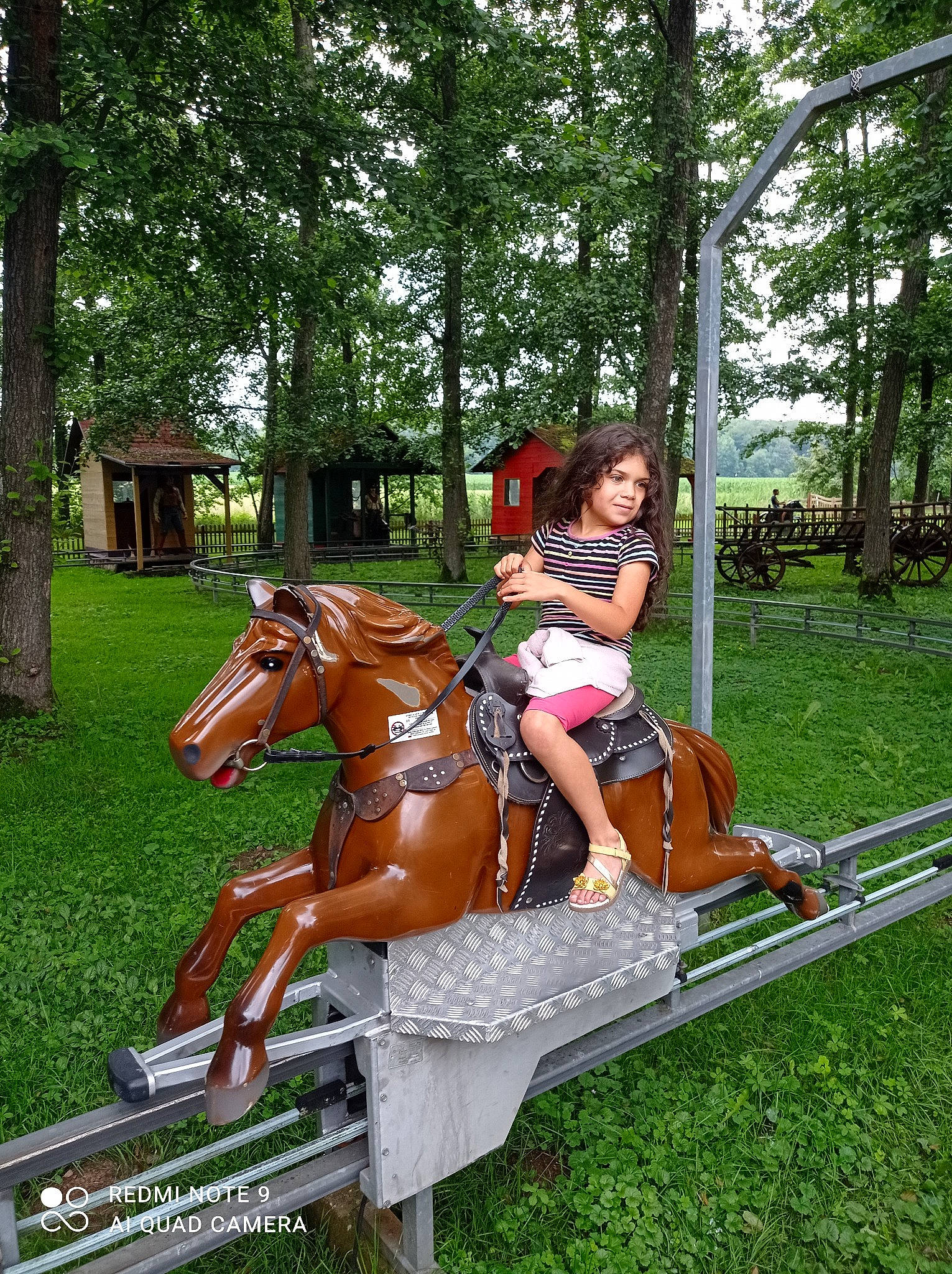 Célia a rejoint le concours — aidez-le/la à gagner de superbes lots ! bit, bridle, equestrian_sport, equestrianism, grass, horse, horse_supplies, horse_tack, leisure, mane, pack_animal, person, plant, recreation, rein, saddle, sorrel, sports, toy, tree