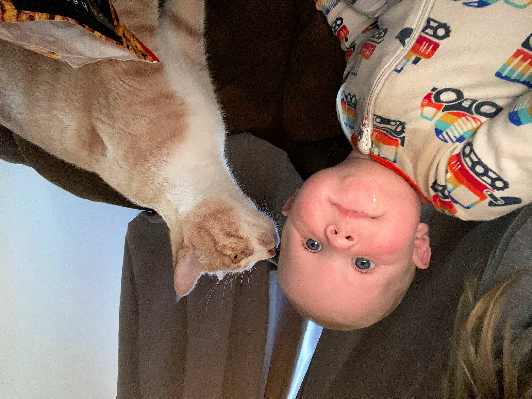 Charley is registered to the contest to win money with this photo: comfort, elbow, eye, eyelash, finger, gesture, hand, head, headgear, human_body, leg, mammal, mouth, nail, neck, person, skin, toddler, trunk, vertebrate