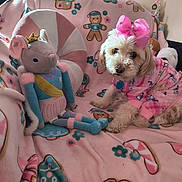Cocobelle is registered to the contest to win money with this photo: blanket, brown_fur, christmas_decorations, couch, cozy, cute, dog, fluffy, home_decor, indoor, pet, pink_bow, pink_pajamas, plush_toy, portrait, sitting, small_dog, stuffed_animal, toy, white_fur