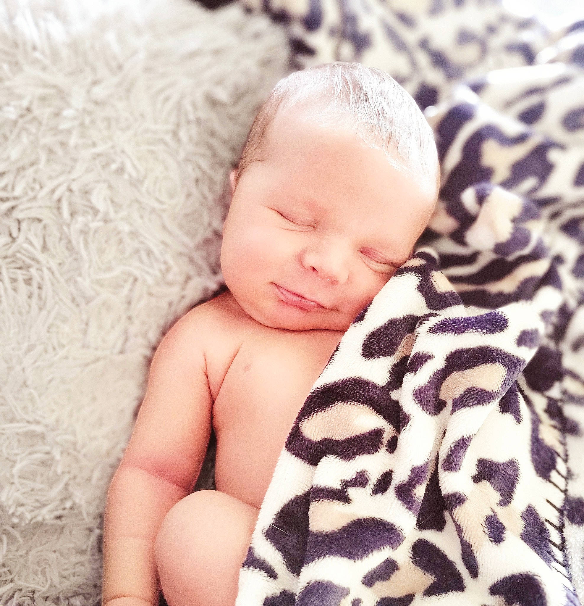 Gunner joined the competition — help win amazing prizes! arm, baby, baby_toddler_clothing, chest, child, comfort, eye, eyelash, fashion_accessory, fur, happy, head, linens, neck, pattern, person, pollinator, skin, sleeve, stomach