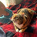 Ellie K.