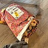 animal, blanket, brown, colorful, cuddly, delivery, dog, fabric, funny, gray, indoor, package, parcel, patterned, peeking, pet, playful, puppy, shipping, wooden_floor