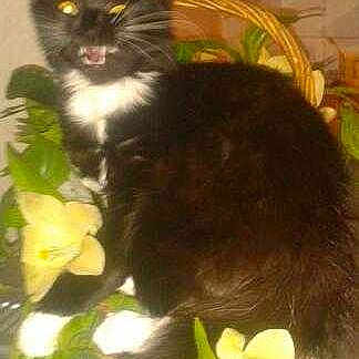 Mya a rejoint le concours — aidez-le/la à gagner de superbes lots !