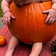 Lily is registered to the contest to win money with this photo: baby, bow, pumpkin, table, grass, pine_cones, small_pumpkin, baby_feet, baby_hands, outdoor, fall, autumn, cute, child, orange, red, green, nature, seasonal, portrait
