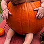 baby, bow, pumpkin, table, grass, pine_cones, small_pumpkin, baby_feet, baby_hands, outdoor, fall, autumn, cute, child, orange, red, green, nature, seasonal, portrait
