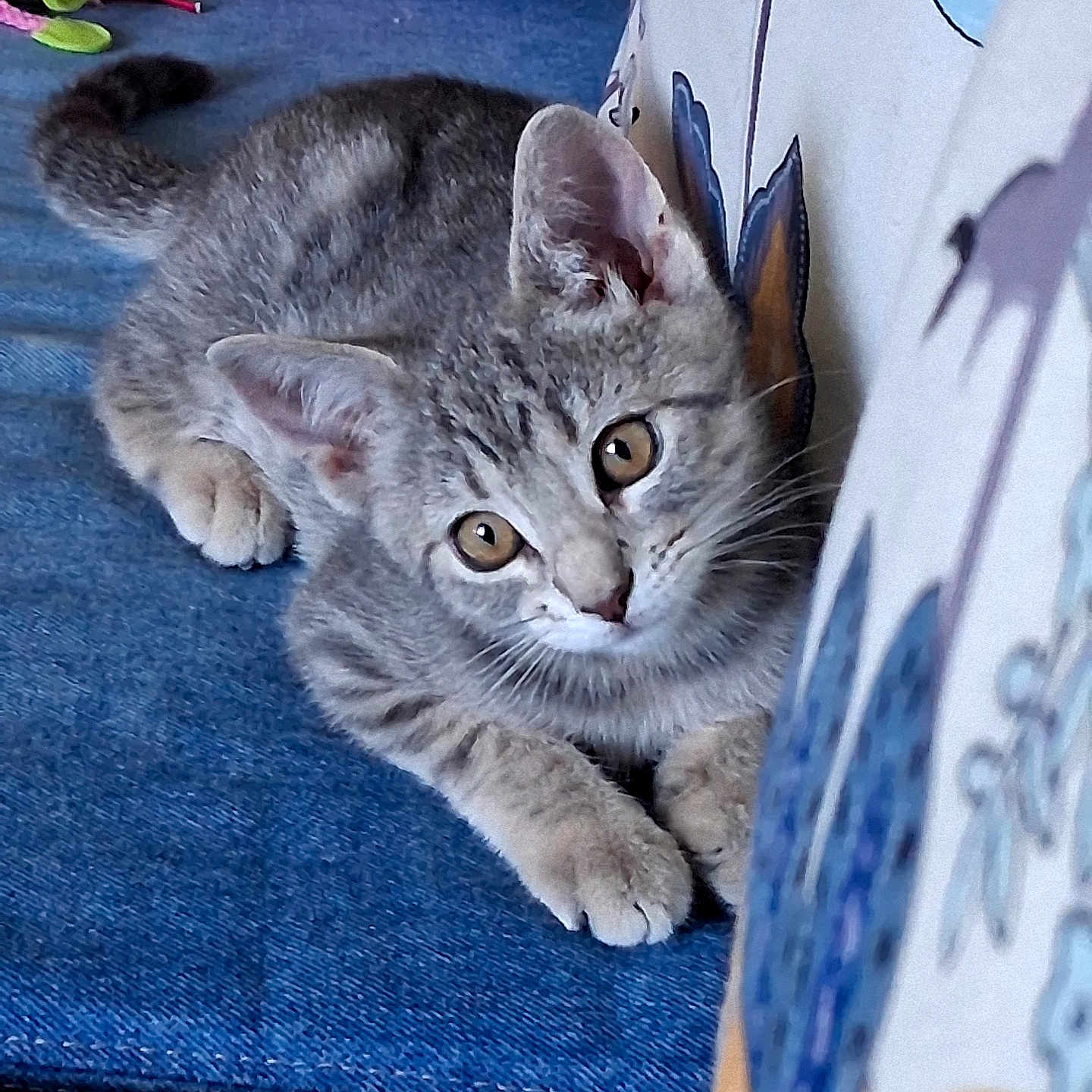 Pebbles