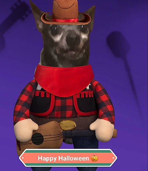Peanut is registered to the contest to win money with this photo: carnivore, collar, costume_hat, cowboy_hat, dog, dog_breed, dog_collar, fawn, fedora, font, gesture, hat, pattern, personal_protective_equipment, pet_supply, snout, sun_hat, tartan, toy, working_animal
