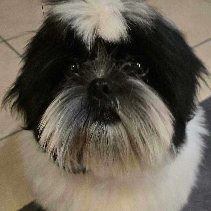Vasko