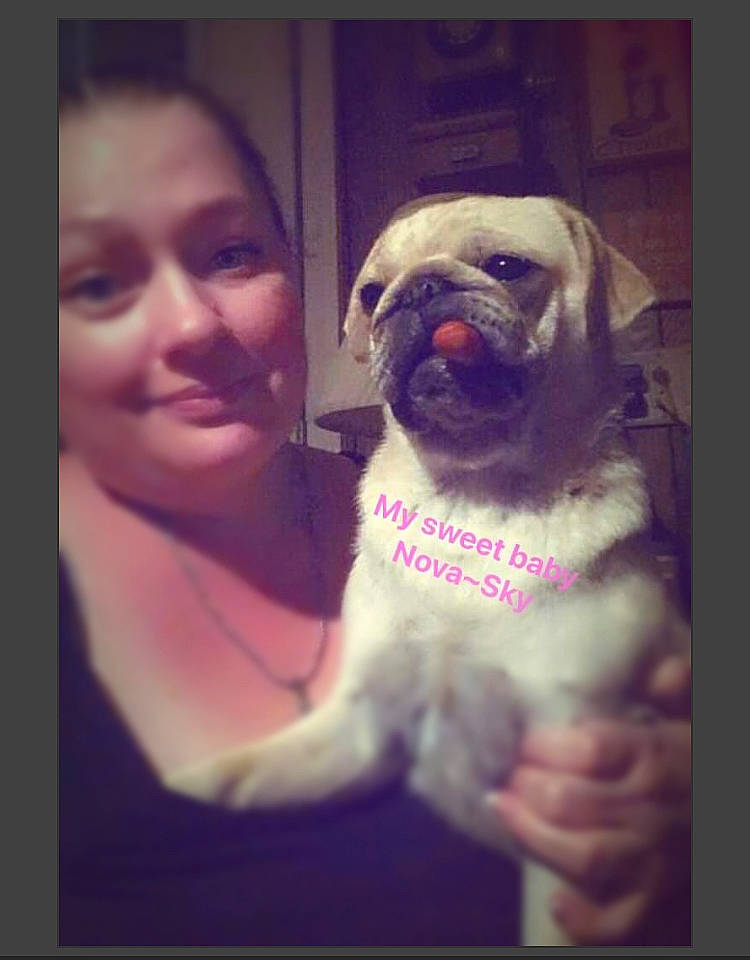 Nova Sky is registered to the contest to win money with this photo: canidae, carnivore, companion_dog, dog, dog_breed, fawn, fur, gesture, happy, magenta, non_sporting_group, photo_caption, pug, selfie, smile, snout, sporting_group, square, toy_dog, wrinkle