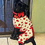 dog, black_dog, pet, clothing, pajamas, hearts, bow_tie, tile_floor, door, mesh_door, green_wall, sitting, cute, portrait, indoor, pet_accessory, animal, looking, head_tilt, collar