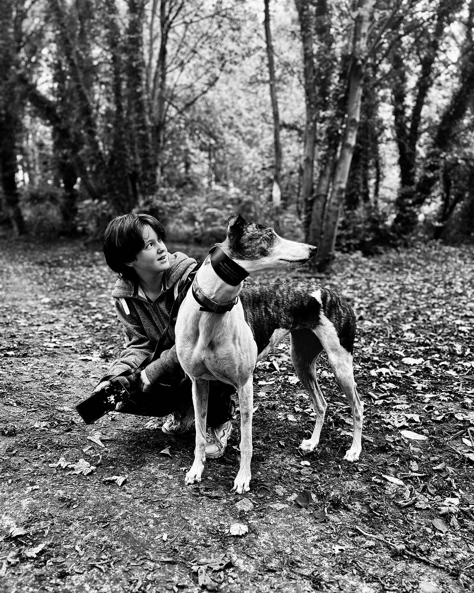 Suzie is registered to the contest to win money with this photo: canidae, carnivore, companion_dog, dog, dog_breed, fawn, forest, fun, grass, monochrome, monochrome_photography, non_sporting_group, plant, recreation, soil, sporting_group, tree, trunk, woodland, working_dog