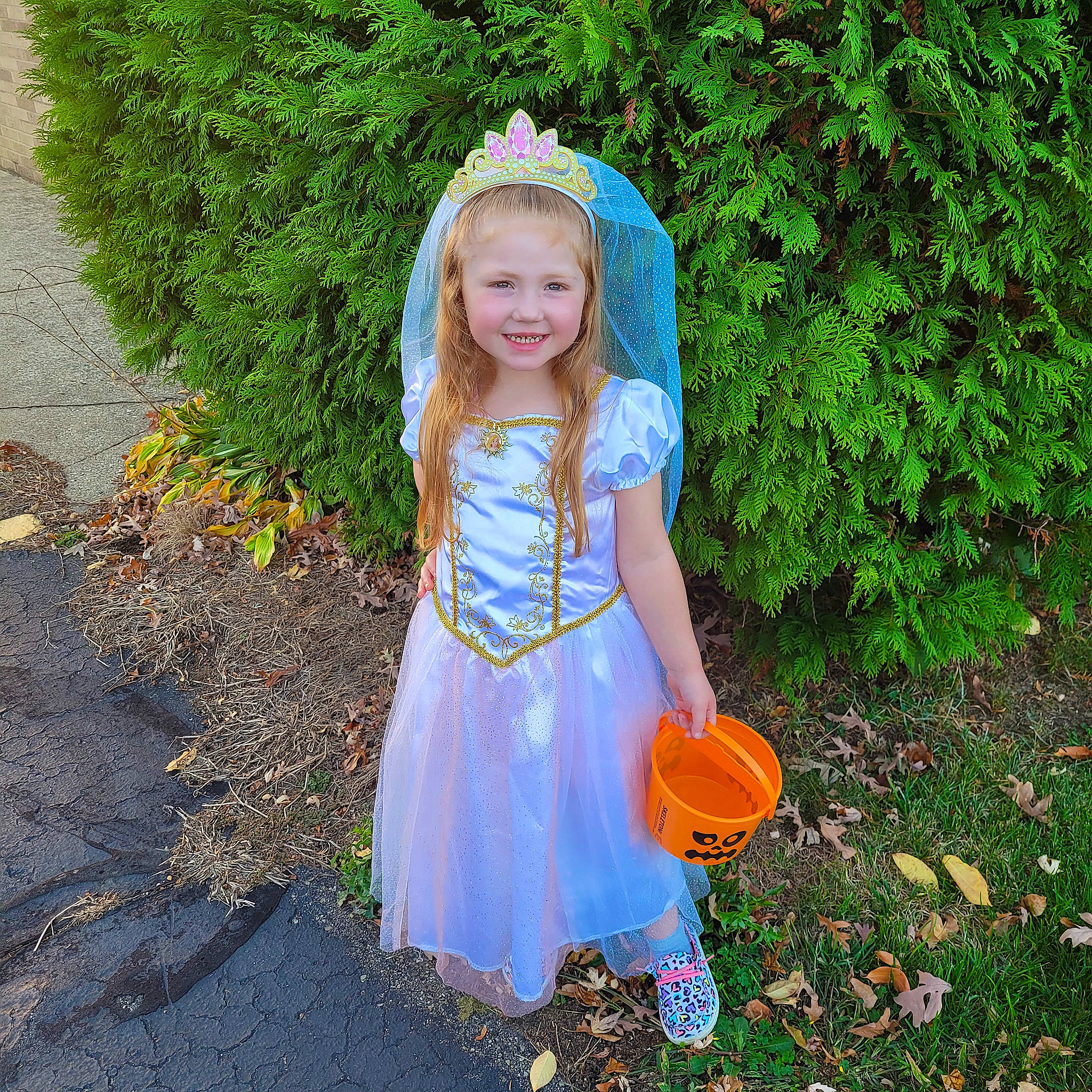 Olivianna joined the competition — help win amazing prizes! asphalt, baby_toddler_clothing, blond, botany, child, day_dress, dress, electric_blue, fun, grass, happy, hat, headpiece, joy, leaf, people_in_nature, person, petal, plant, smile