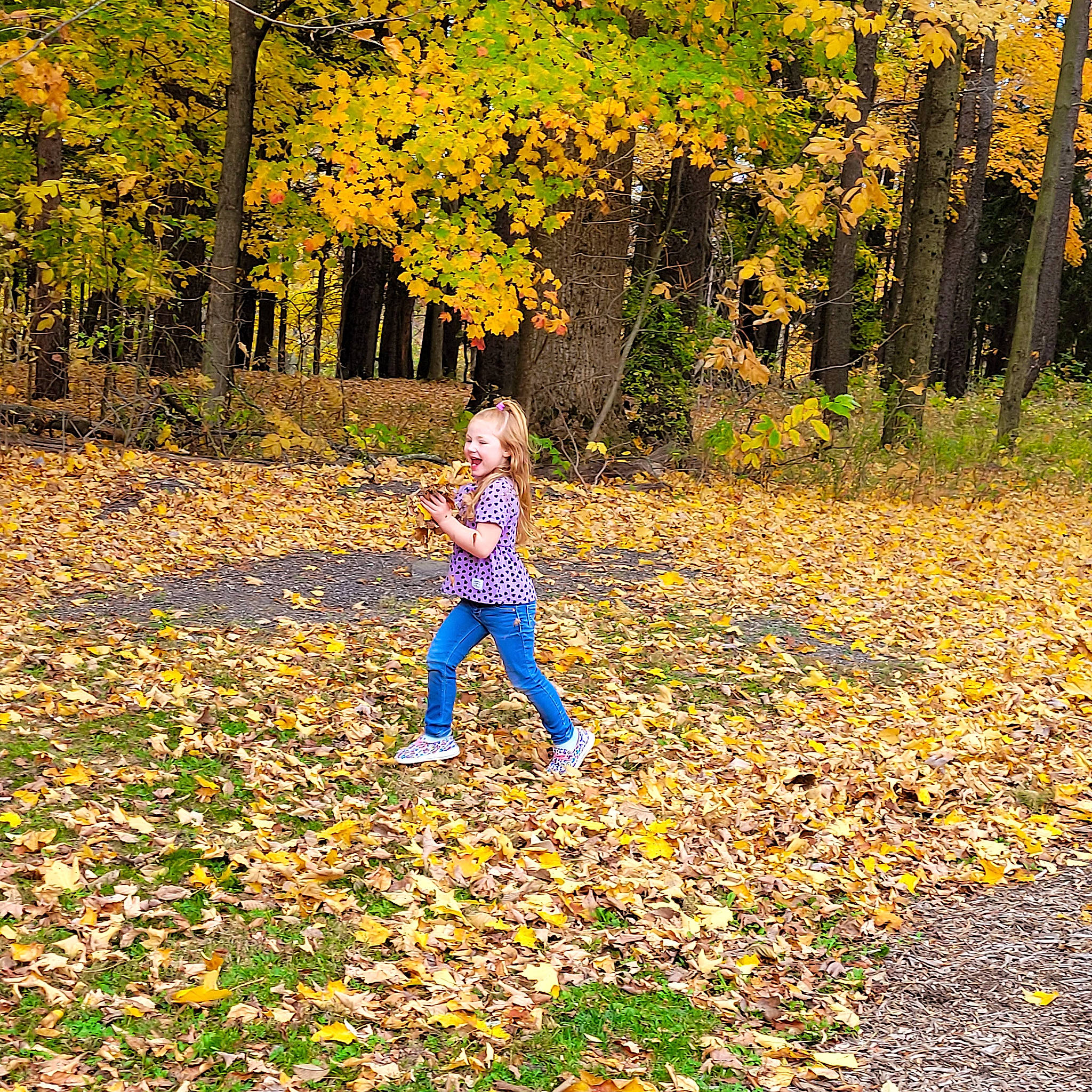 Olivianna is registered to the contest to win money with this photo: biome, branch, deciduous, forest, grass, groundcover, grove, happy, landscape, leaf, leisure, natural_landscape, people_in_nature, person, plant, tints_and_shades, tree, trunk, woodland, woody_plant