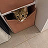 cat, tabby_cat, pet, animal, feline, face, eyes, whiskers, ears, curious, peeking, storage_bin, basket, shelf, indoors, home, tile_floor, furniture, portrait, cute