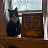 cat, tuxedo_cat, window, windowsill, framed_art, artwork, sunshine, indoor, pet, animal, black_and_white_cat, quiet, calm, daylight, tree, glass_window, home, decor, sitting, whiskers