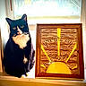 cat, tuxedo_cat, windowsill, window, framed_art, wooden_frame, yellow_sun, text, indoor, animal, pet, black_and_white, curious, sitting, natural_light, cozy, decor, sunshine, home, artwork