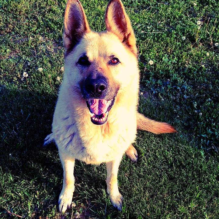 Sam