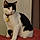 Patches