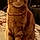 Buster