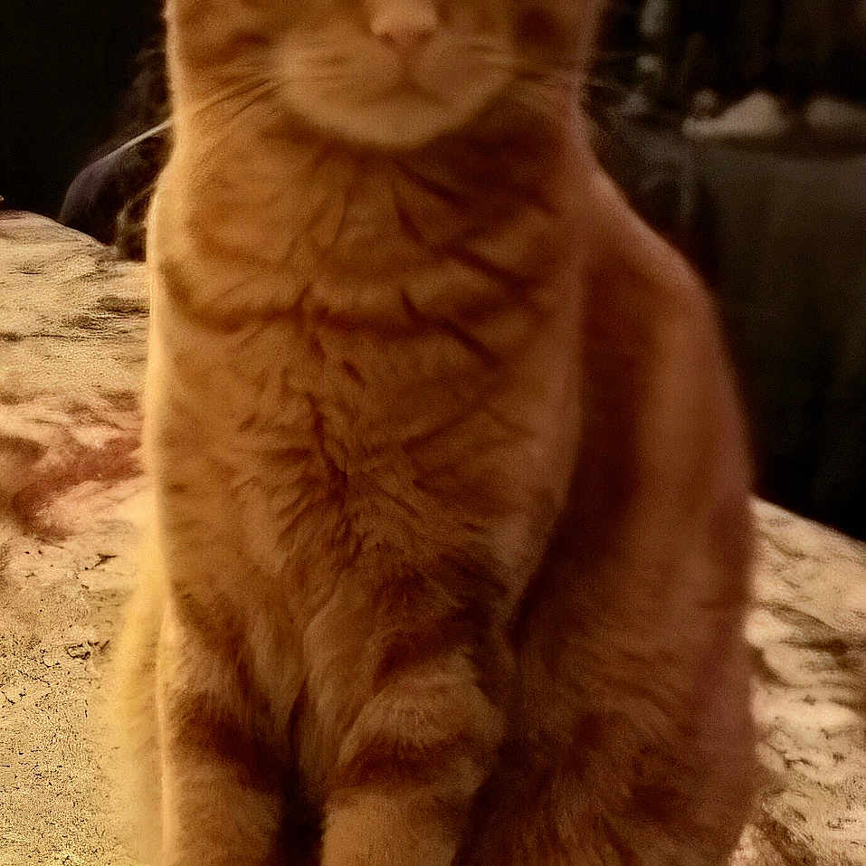 Buster