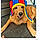 Marley