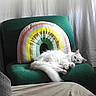 Meeko participe au concours pour gagner de l'argent avec cette photo : cat, white_cat, fluffy, chair, green_chair, rainbow_pillow, pillow, indoor, curtains, relaxed, pet, feline, fur, cozy, resting, domestic_animal, home, comfort, sleepy, cute