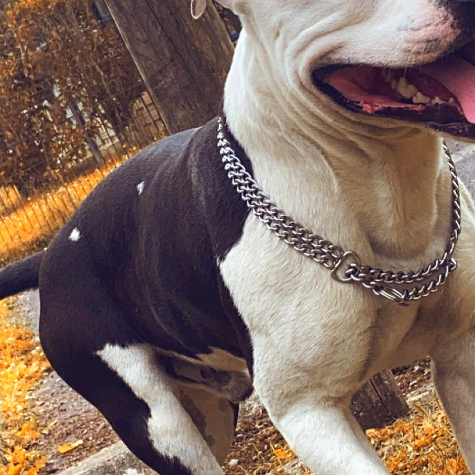 Tyson