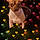 Tuffy