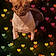 Tuffy