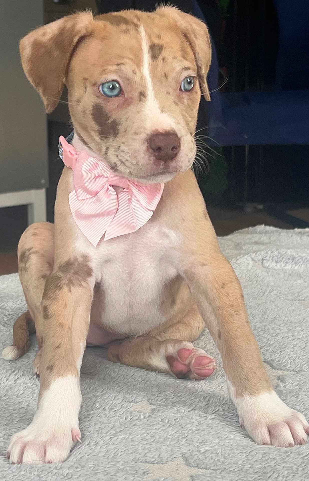 Tilly