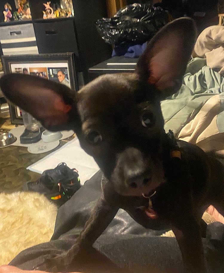 Coco