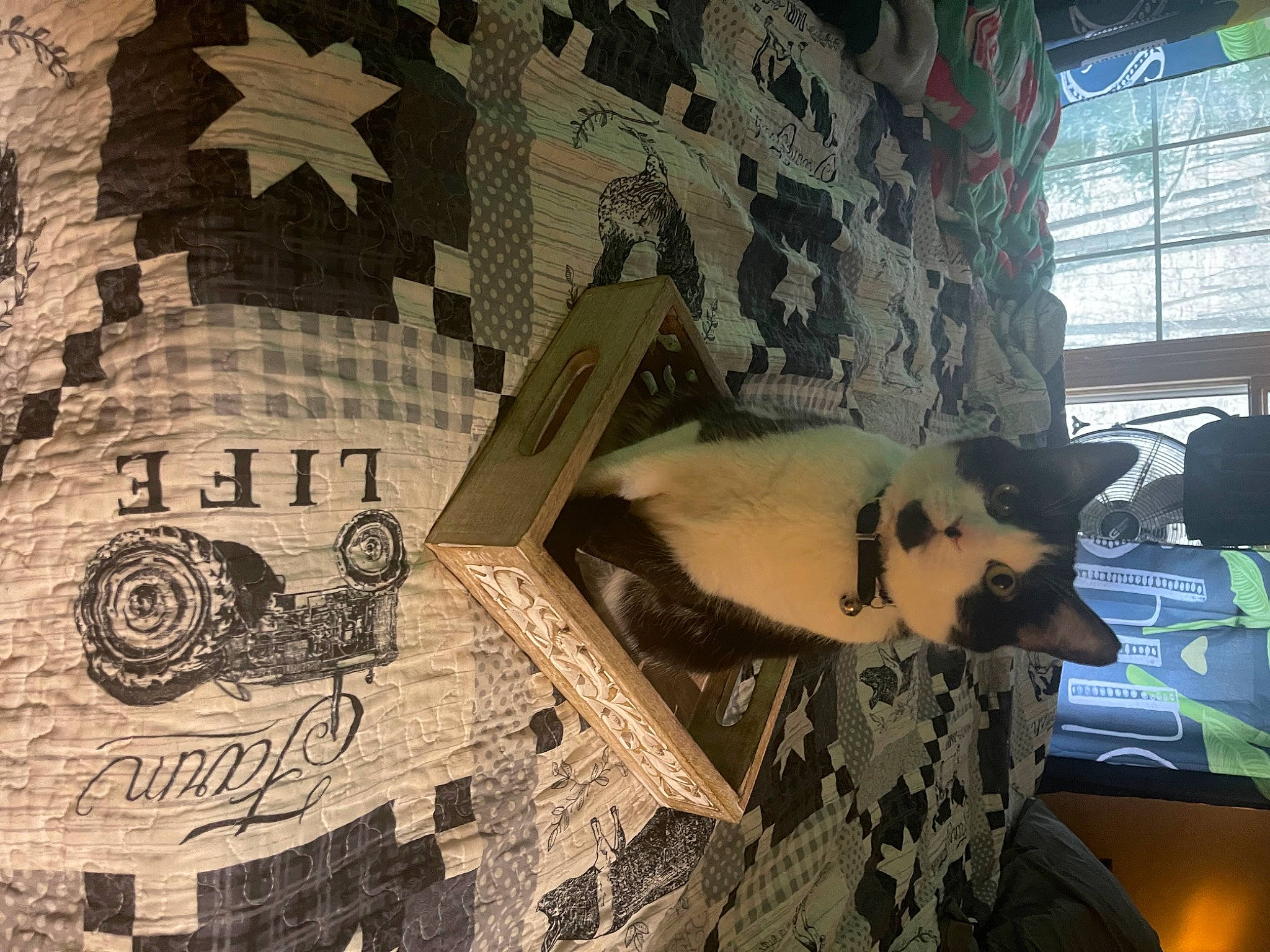 Lucky joined the competition — help win amazing prizes! art, ceiling, facade, fiction, flooring, font, home_accessories, illustration, interior_design, linens, pattern, room, space, visual_arts, wing, wood, world