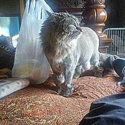 Lilly joined the competition — help win amazing prizes!