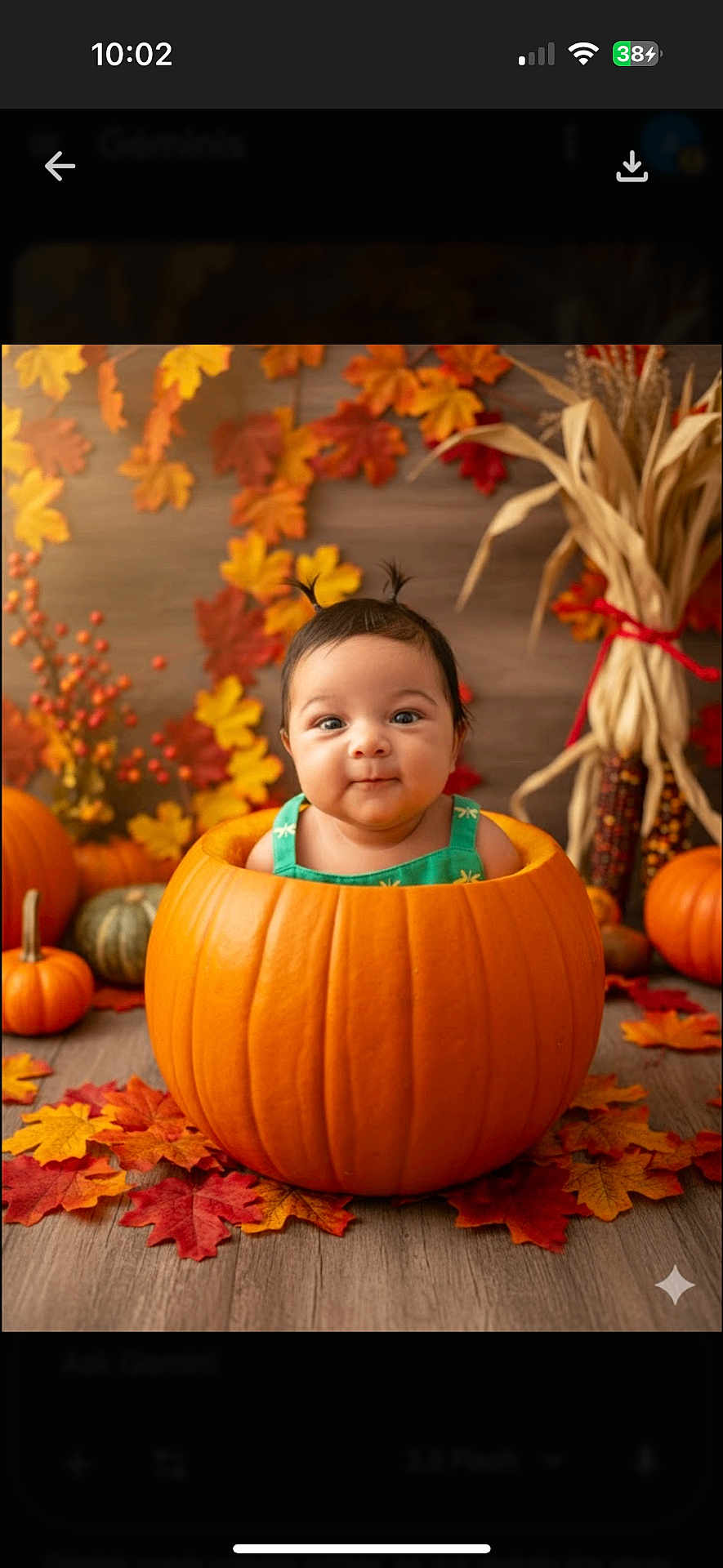 Mia is registered to the contest to win money with this photo: baby, pumpkin, autumn_leaves, fall, child, cute, portrait, decorations, orange, harvest, holiday, festive, smiling, indoor, seasonal, happy, person, background, wood_floor, green_clothing