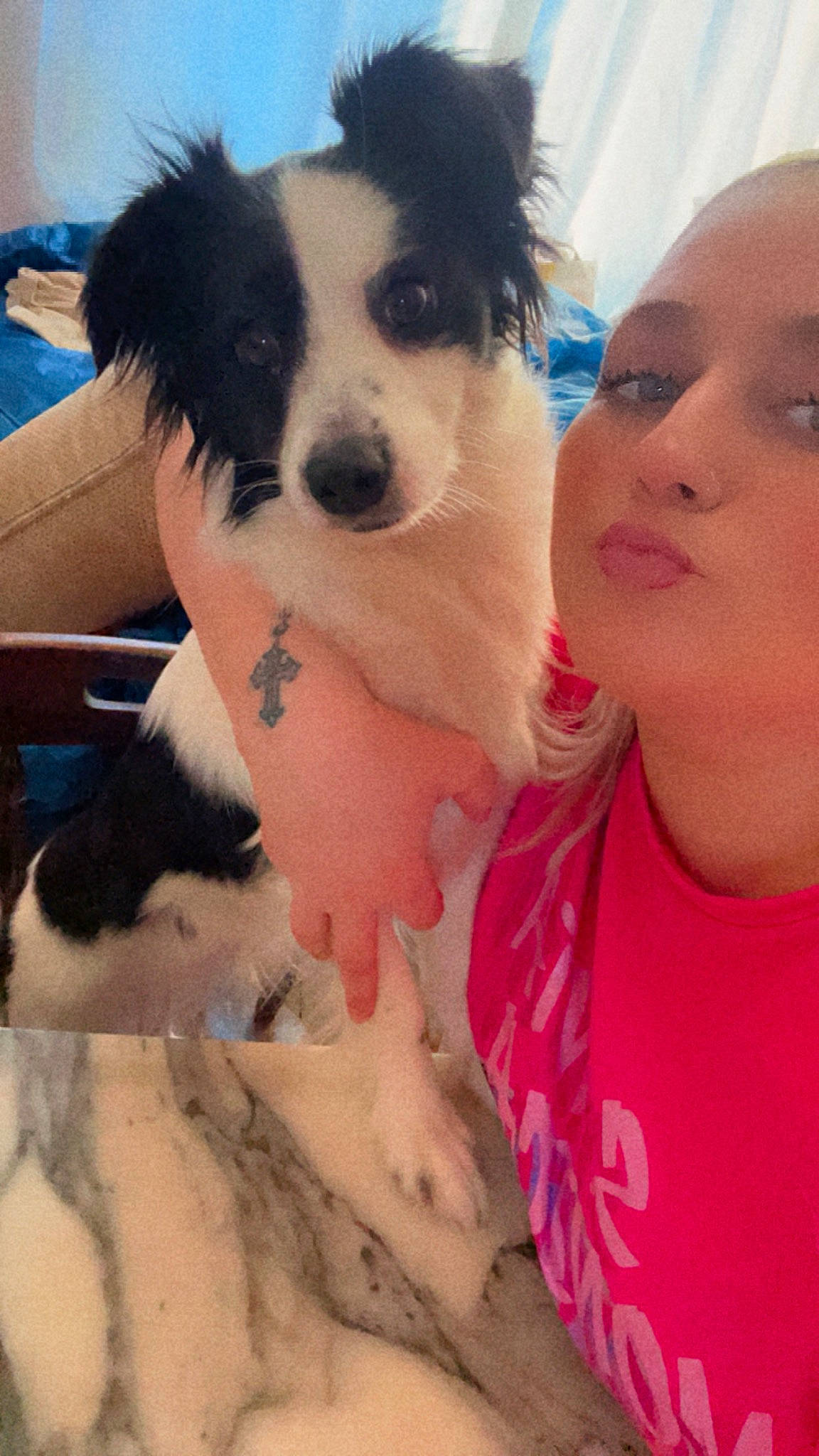 Perla participe au concours pour gagner de l'argent avec cette photo : border_collie, carnivore, cloud, companion_dog, dog, dog_breed, eyewear, fun, fur, gesture, happy, herding_dog, love, nose, paw, recreation, selfie, t_shirt, toy_dog, working_dog