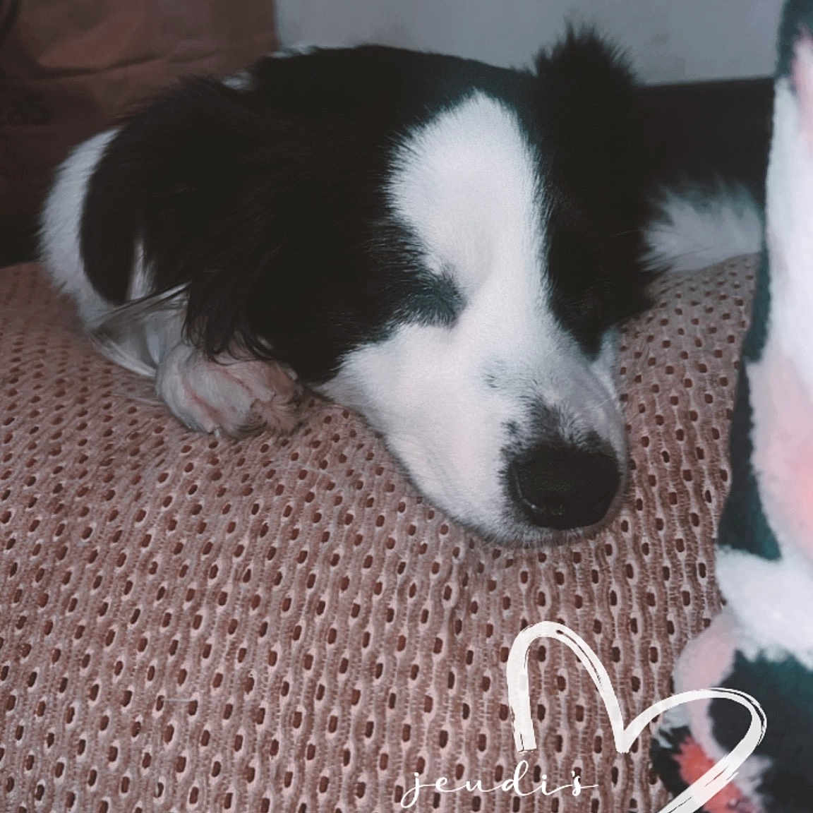 Perla