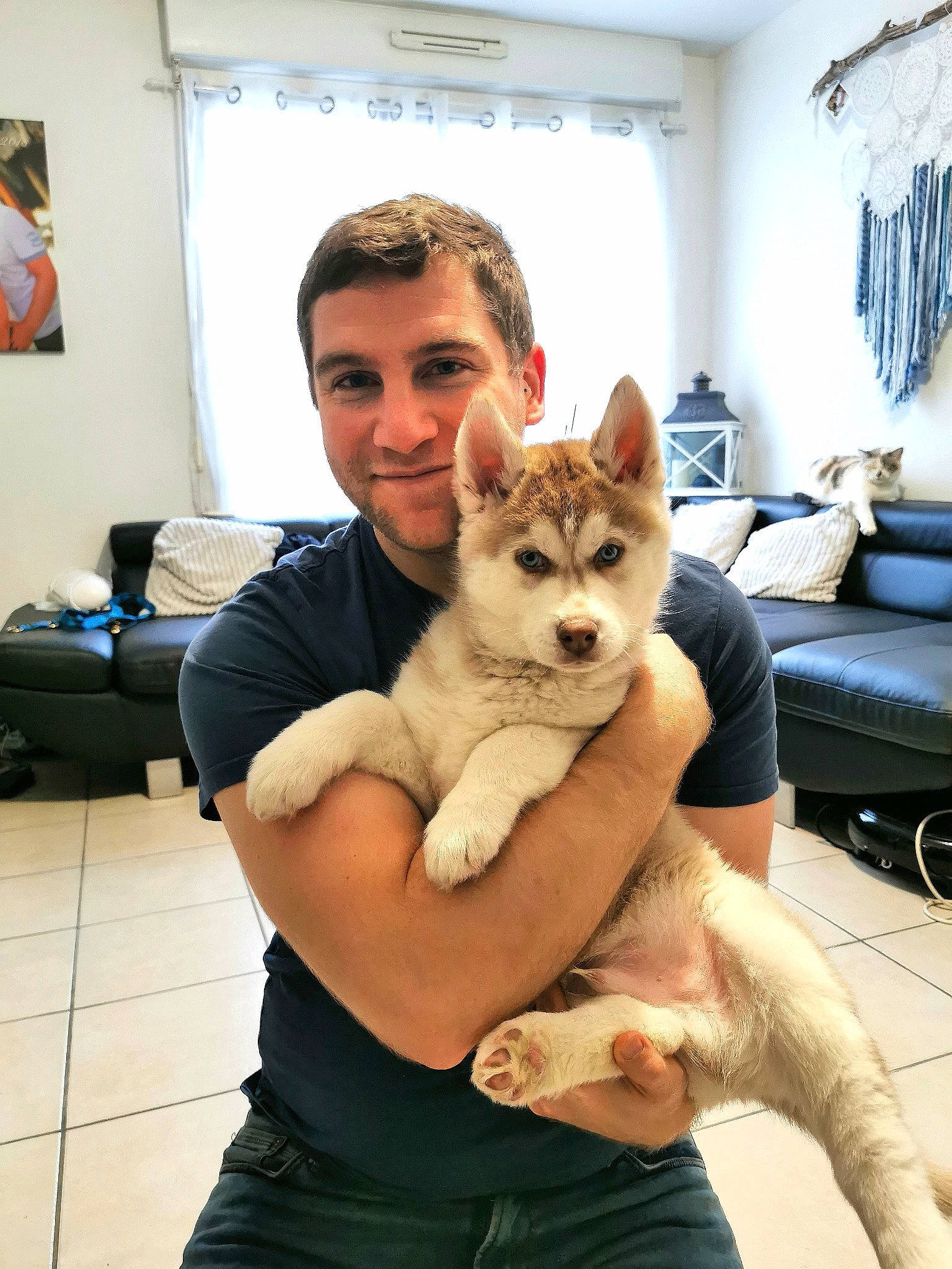 Amarok participe au concours pour gagner de l'argent avec cette photo : akita_inu, alaskan_malamute, canidae, carnivore, cat, dog, dog_breed, fawn, felidae, mammal, siberian_husky, small_to_medium_sized_cats, vertebrate, whiskers, wolfdog