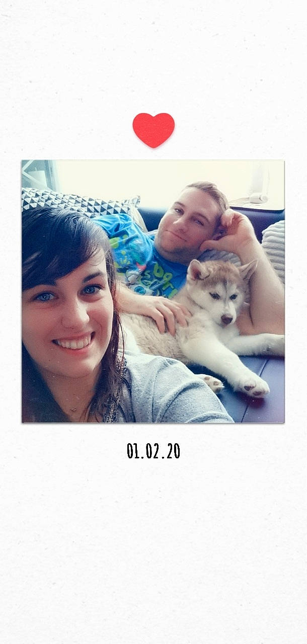 Amarok participe au concours pour gagner de l'argent avec cette photo : akita, akita_inu, alaskan_klee_kai, alaskan_malamute, canidae, carnivore, companion_dog, dog, friendship, happy, photo_caption, photography, puppy, puppy_love, siberian_husky, sled_dog, smile, snapshot