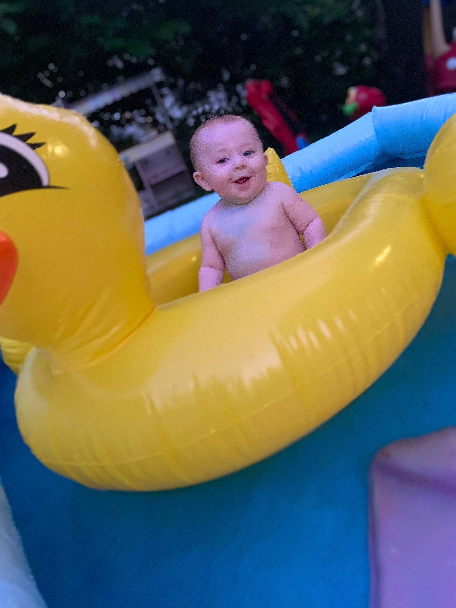 Rate-jen is registered to the contest to win money with this photo: _geese_and_swans, baby_float, bath_toy, beak, blue, duck, ducks, fun, games, inflatable, leisure, nonbuilding_structure, outdoor_recreation, person, play, recreation, rubber_ducky, smile, toddler, tubing