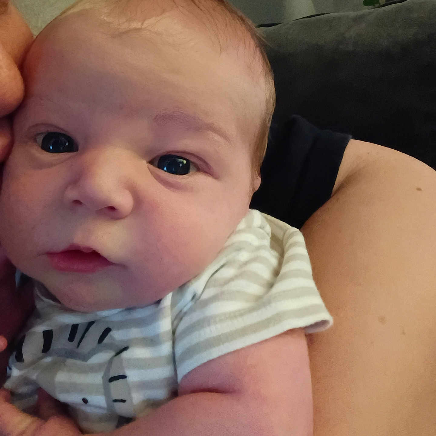 Bryson joined the competition — help win amazing prizes! baby, infant, close_up, face, person, arm, clothing, striped, indoor, couch, comfort, skin, cute, newborn, expression, portrait, head, human, child, holding