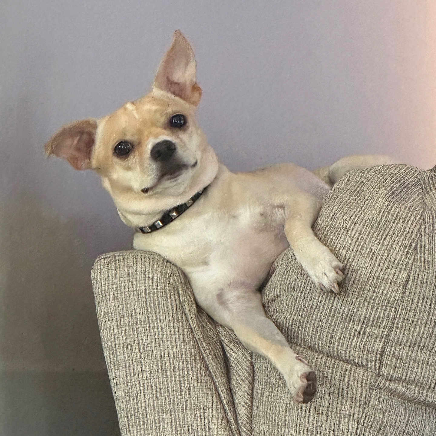 Paco