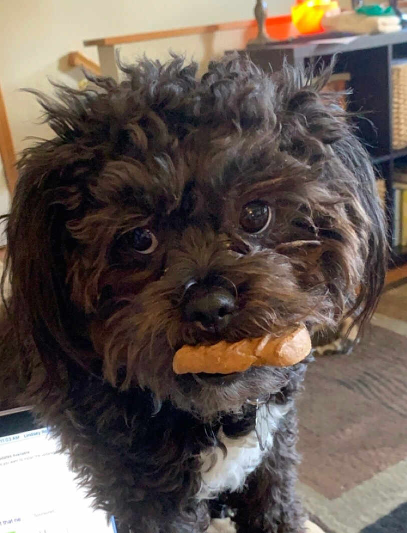 Charlie