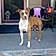 Lola