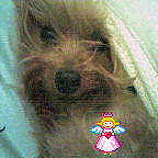 Kiki participe au concours pour gagner de l'argent avec cette photo :