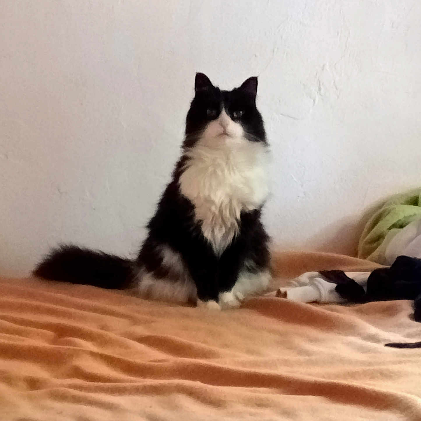 Mistik